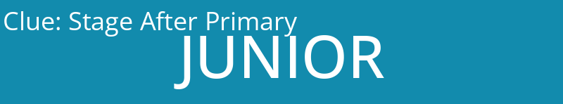 Stage After Primary