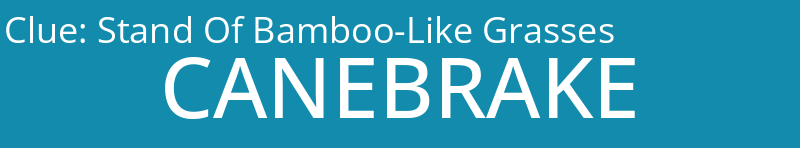 Stand Of Bamboo-Like Grasses