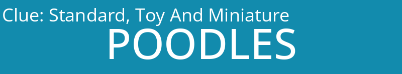Standard, Toy And Miniature