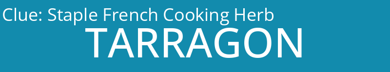 Staple French Cooking Herb