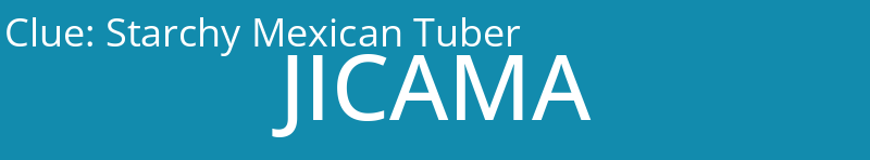 Starchy Mexican Tuber