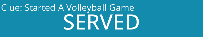 Started A Volleyball Game