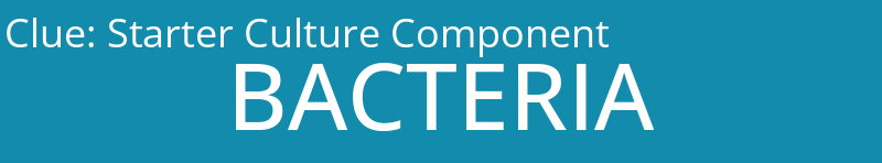 Starter Culture Component