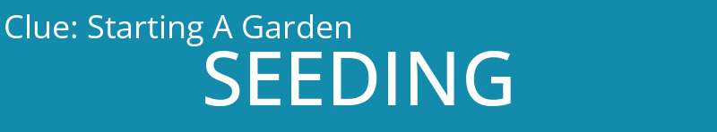 Starting A Garden