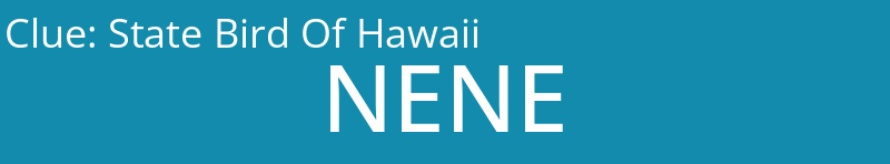 State Bird Of Hawaii