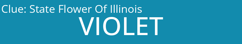 State Flower Of Illinois