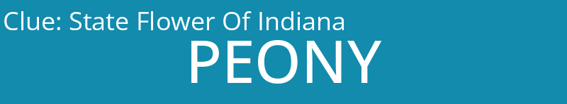State Flower Of Indiana