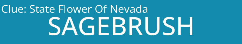 State Flower Of Nevada