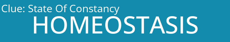 State Of Constancy 