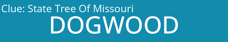 State Tree Of Missouri