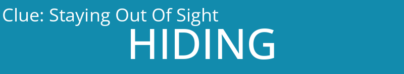 Staying Out Of Sight