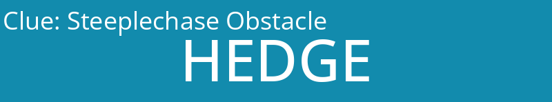 Steeplechase Obstacle