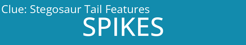 Stegosaur Tail Features