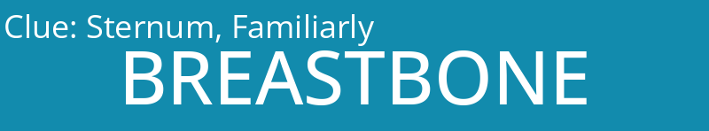 Sternum, Familiarly