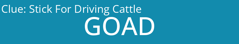 Stick For Driving Cattle