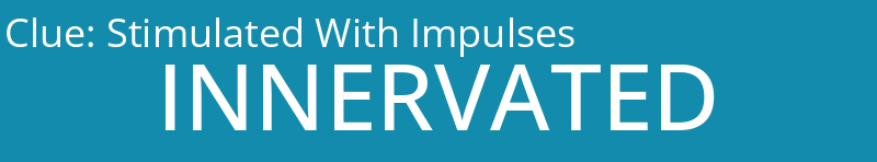 Stimulated With Impulses