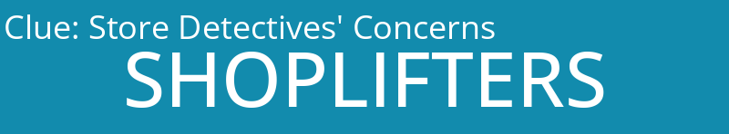 Store Detectives' Concerns