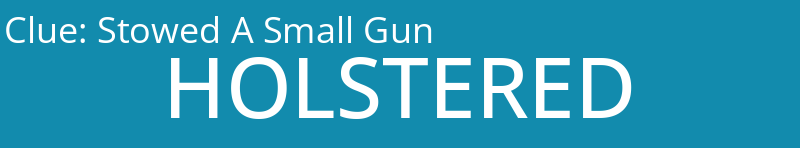Stowed A Small Gun