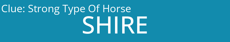 Strong Type Of Horse