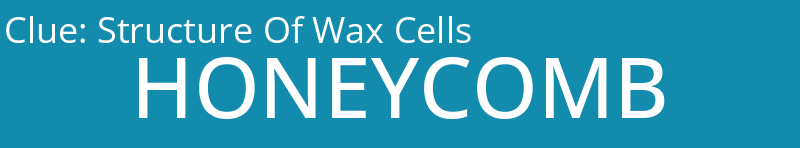 Structure Of Wax Cells