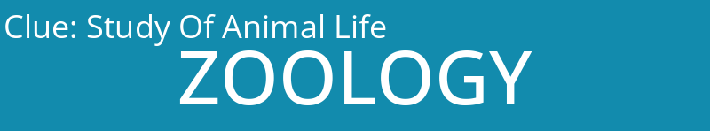 Study Of Animal Life