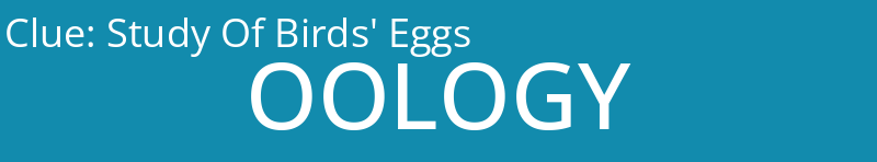 Study Of Birds' Eggs