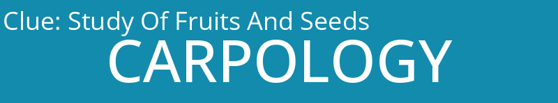 Study Of Fruits And Seeds