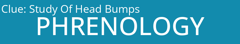 Study Of Head Bumps