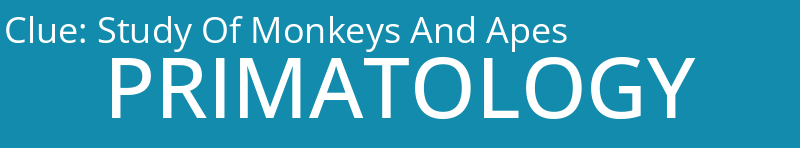 Study Of Monkeys And Apes