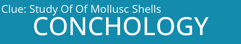 Study Of Of Mollusc Shells