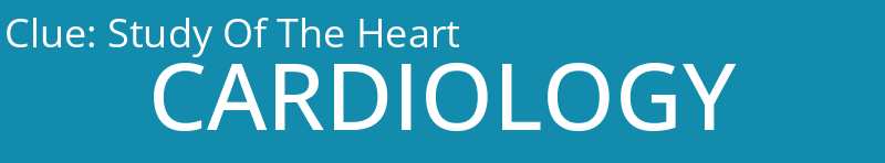 Study Of The Heart