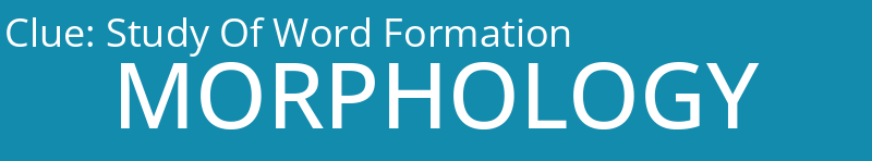 Study Of Word Formation