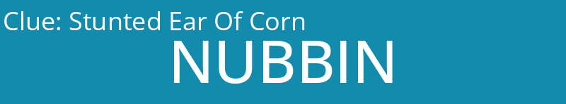 Stunted Ear Of Corn