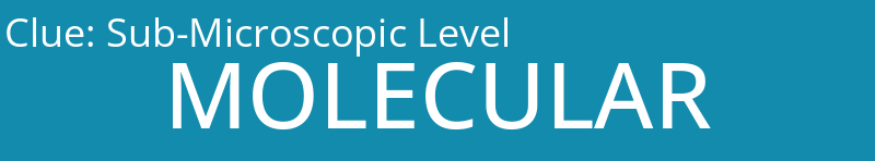 Sub-Microscopic Level