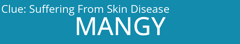 Suffering From Skin Disease
