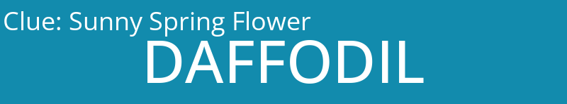 Sunny Spring Flower