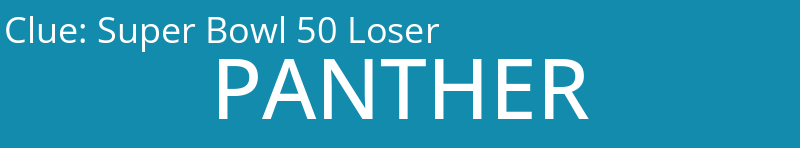 Super Bowl 50 Loser