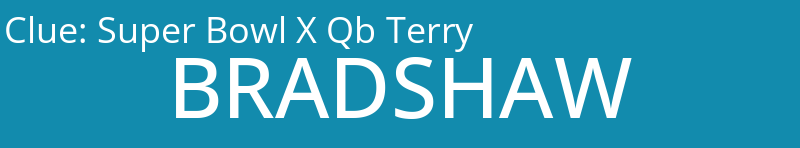 Super Bowl X Qb Terry