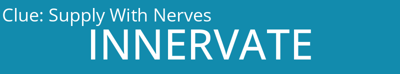 Supply With Nerves