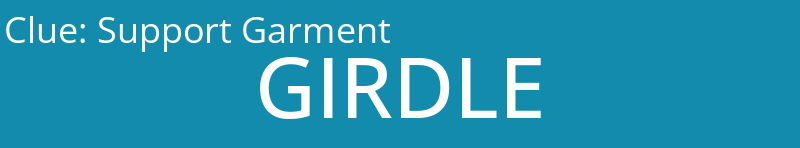 Support Garment