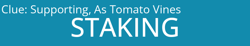 Supporting, As Tomato Vines