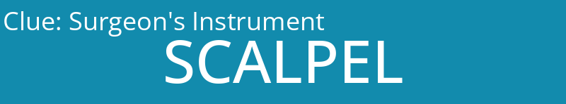 Surgeon's Instrument