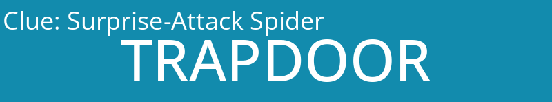 Surprise-Attack Spider