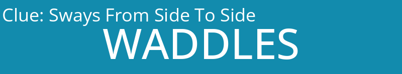 Sways From Side To Side