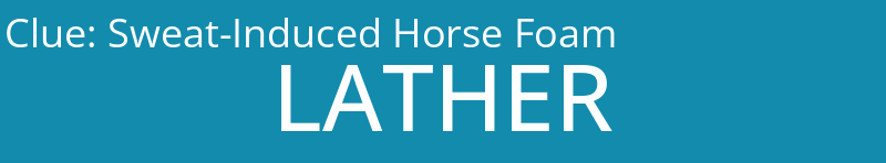 Sweat-Induced Horse Foam