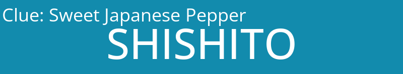 Sweet Japanese Pepper