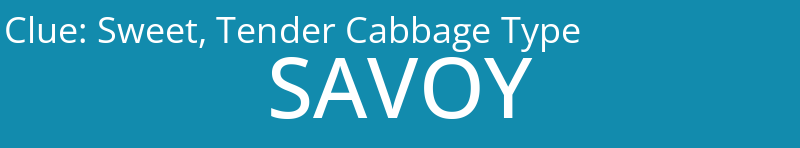 Sweet, Tender Cabbage Type