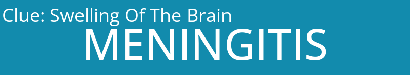Swelling Of The Brain