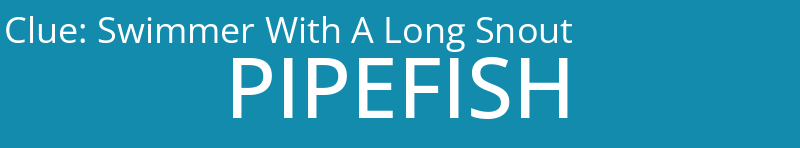 Swimmer With A Long Snout