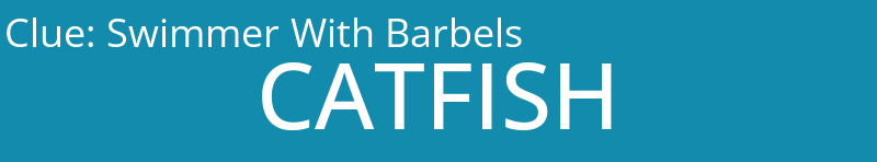 Swimmer With Barbels